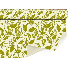 Bobine clayrbrill Folia vert anis 0.80 x 40m