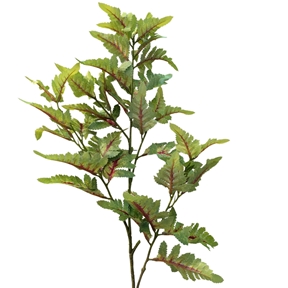 Branche coleus vert ht 100cm