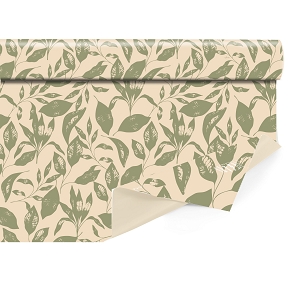 Bobine clayrbrill folia kaki 0.80 x 40m