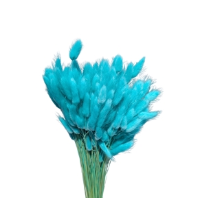 LAGURUS TURQUOISE 100GRS