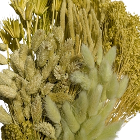 Bouquet fleurs séchées assorties vert 250grs