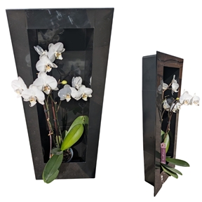 Cadre plastique noir 73 x 29cm