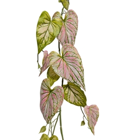 Guirlande caladium crème vert rose 135 cm