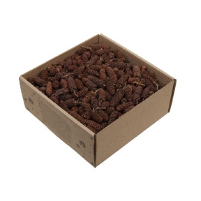 Pomme de pin naturel x 250grs