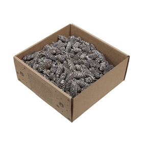 Pomme de pin blanchi x 250grs