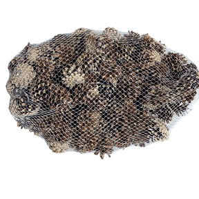 Pomme de pin naturel 1kg