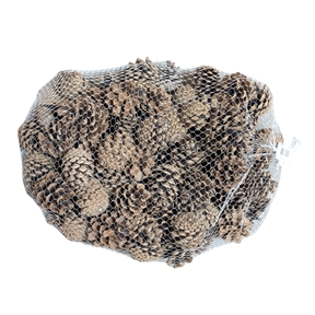 Pomme de pin naturel 1kg