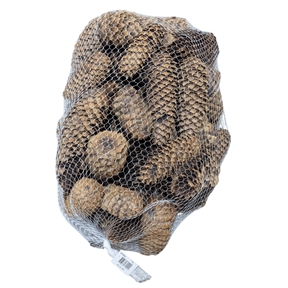 Pomme de pin naturel 1kg