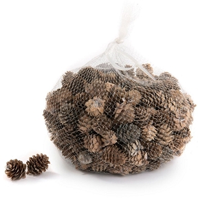 Pomme de pin blanchie 3-4cm x 500grs ass