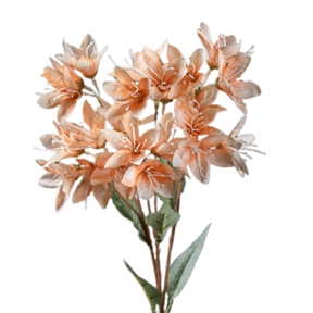 Lys saumon ht 72cm