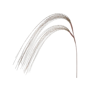 Branche or ht 114cm