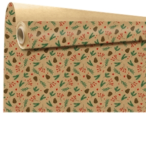 Bobine kraft écru sagesse vert 0.79 x 40m
