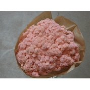 Immortelle du var rose pale 100 grs