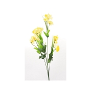 PIQUET JONQUILLE JAUNE