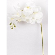 ORCHIDEE BLANC 106CM