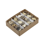 Boite Oeufs De Caille Ø 3cm X 12