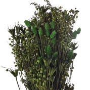 Bouquet fleurs séchées assorties vert olive 250grs