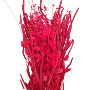 BOUQUET FLEURS SECHEES ASSORTIES ROUGE 250GRS