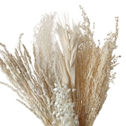Bouquet fleurs séchées assorties blanc 250grs