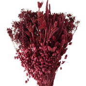 Bouquet fleurs séchées assorties bordeaux 250grs