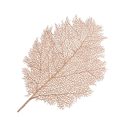 Feuille or en PVC 57 x 36cm