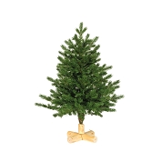 Sapin artificiel vert ht 60cm