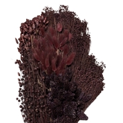 Bouquet fleurs séchées assorties prune 250grs