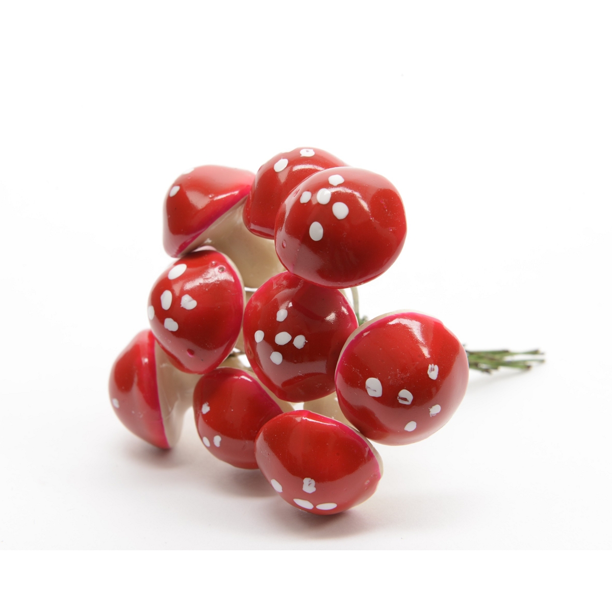 Champignons rouges 