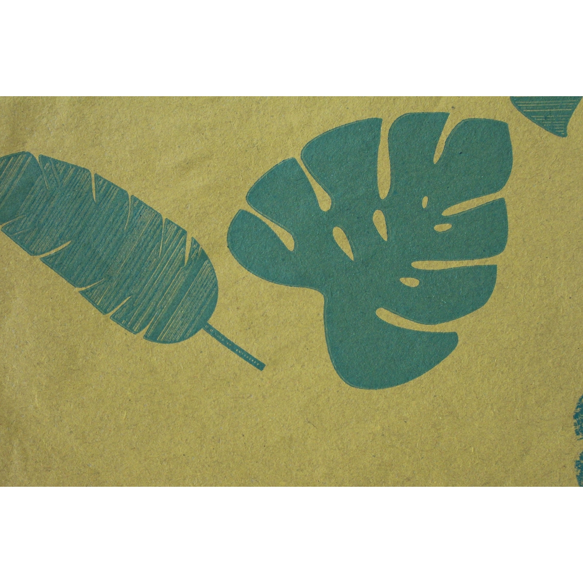 Bobine biokraft naturel motif exotic vert 0.70 x 50m