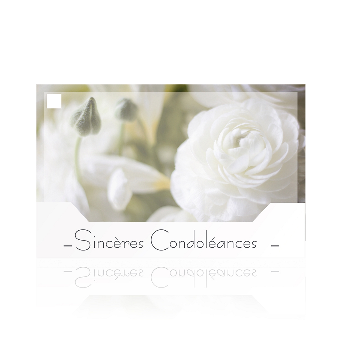 Cartes Jeso Silenzio "Sincères condoléances"