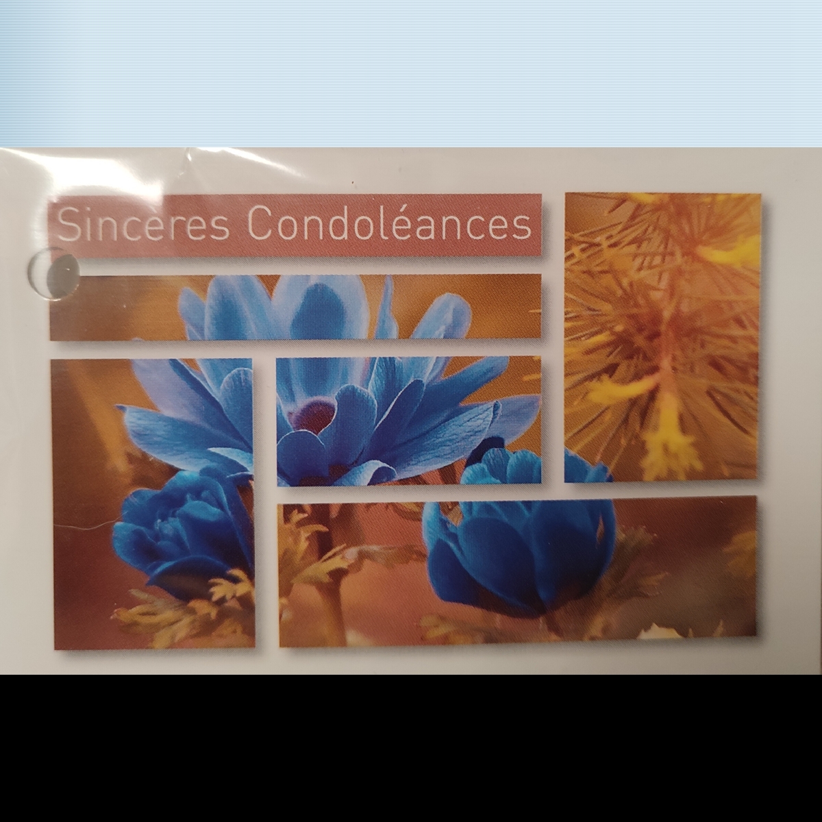 Cartes tendresse "sincères condoléances" x15