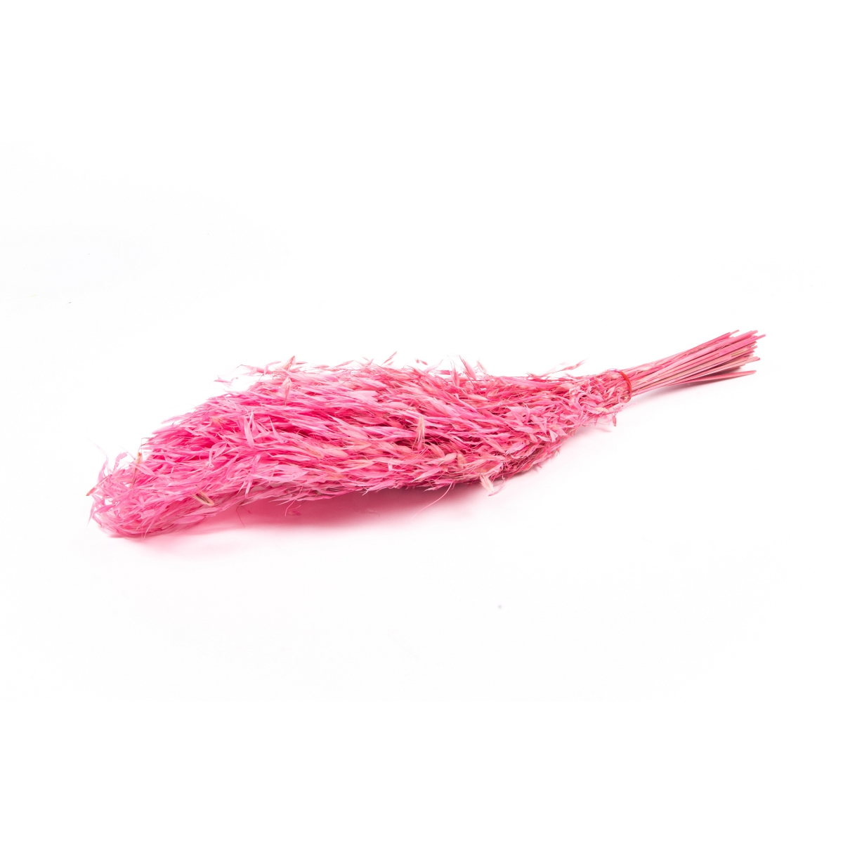 Avoine fuchsia 100grs