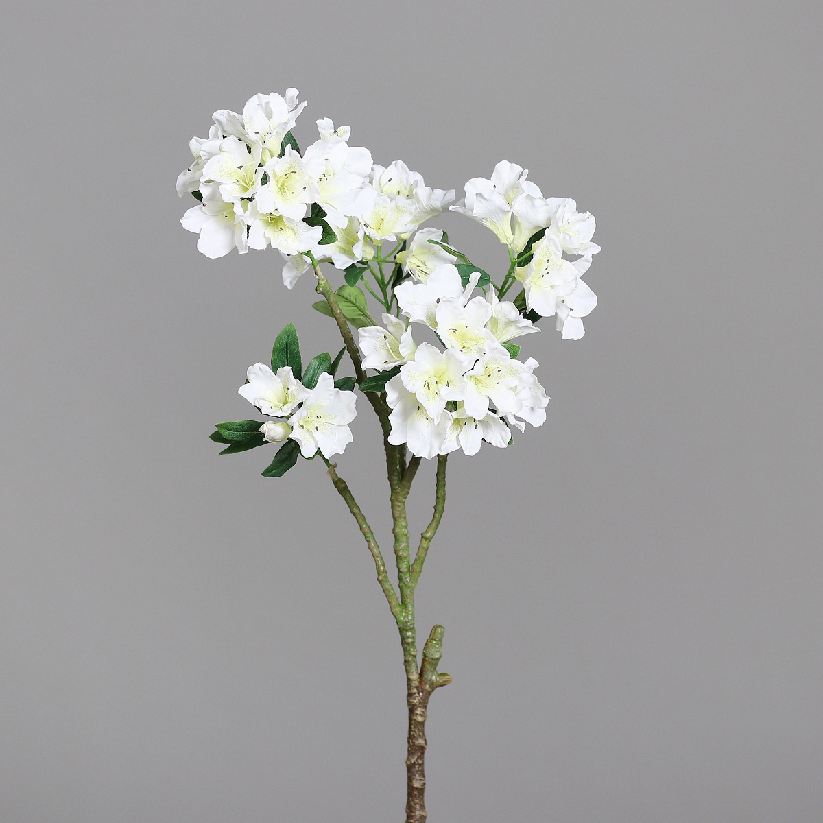 Branche rhododendron crème 90cm