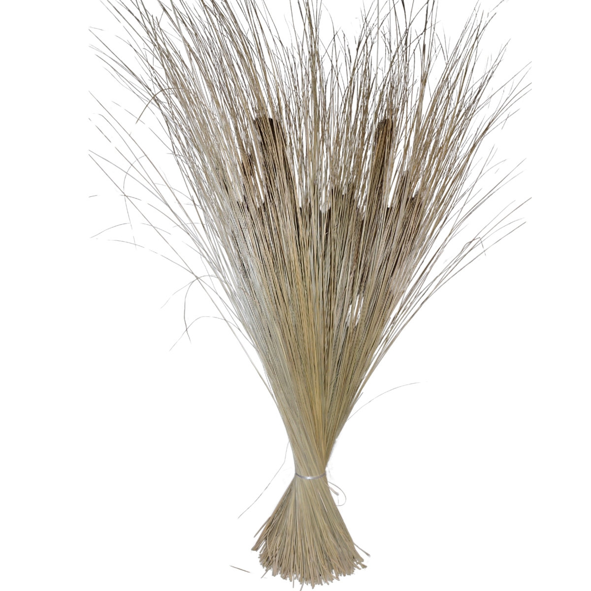 Ampelodesma straw naturel x 2kg