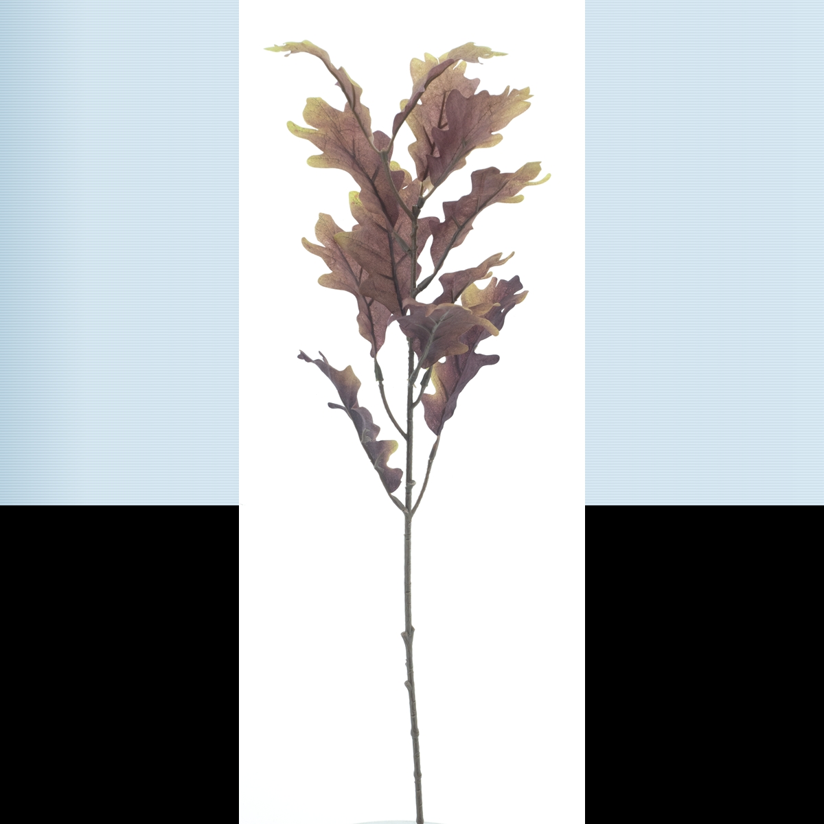 Branche feuille de chêne vert 64cm