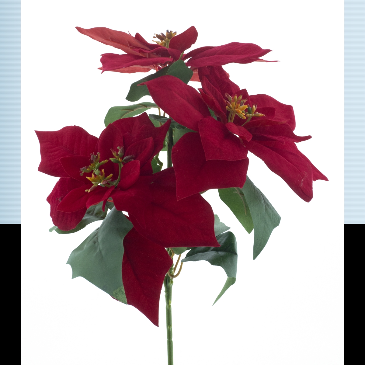 Piquet poinsettia rouge 35cm