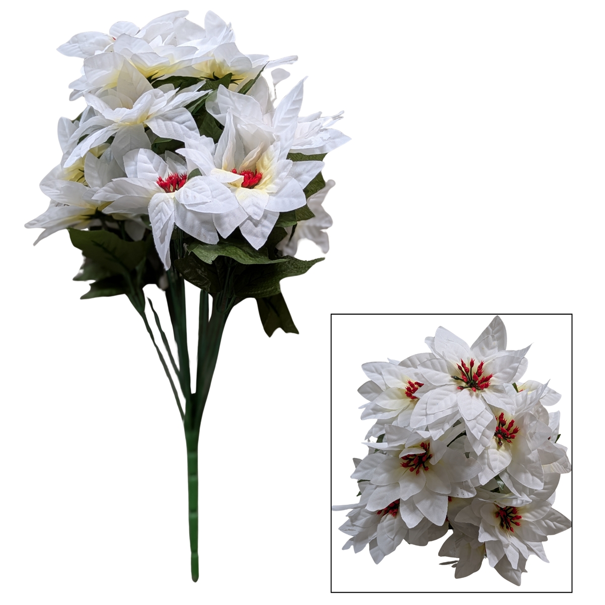 Piquet poinsettia blanc