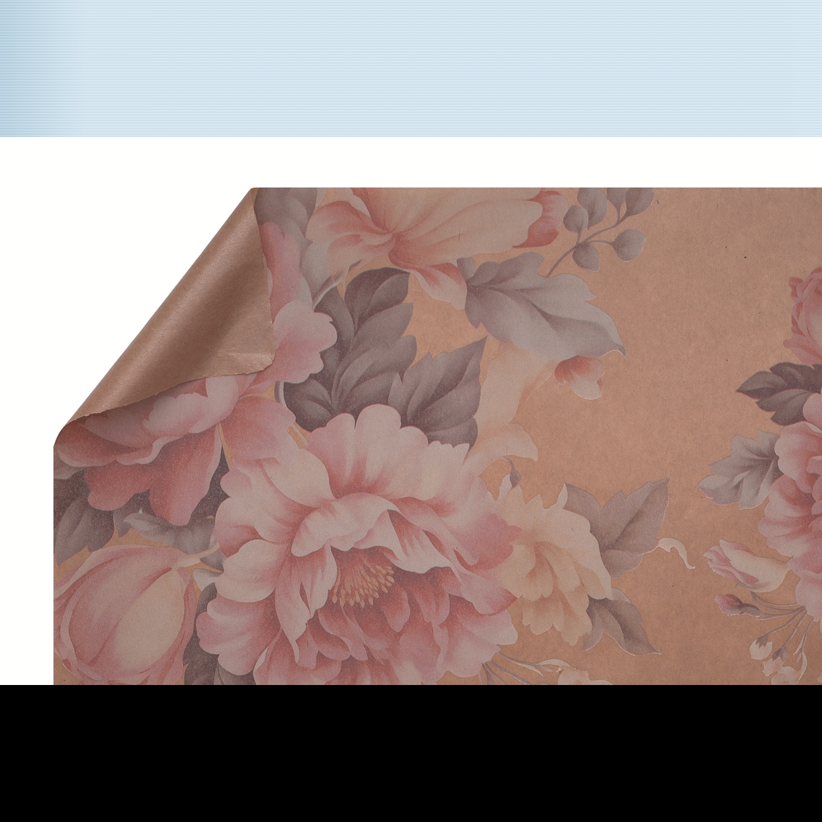 Bobine kraft écru imprimé Garden 0.80 x 40m