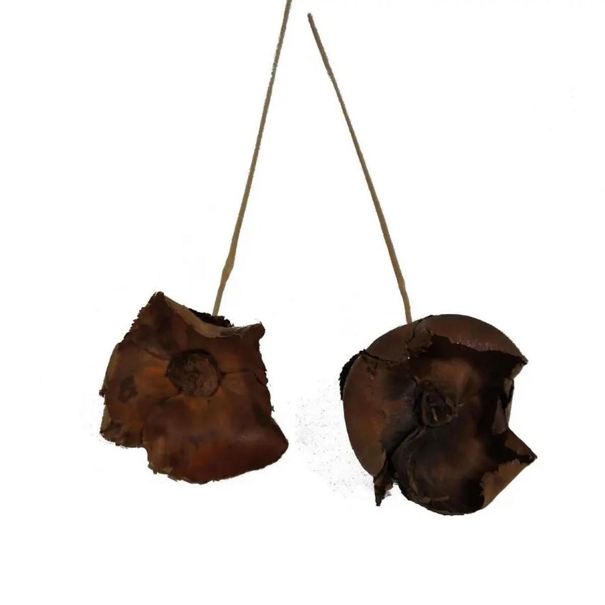 Palm cup sur tige naturel x10