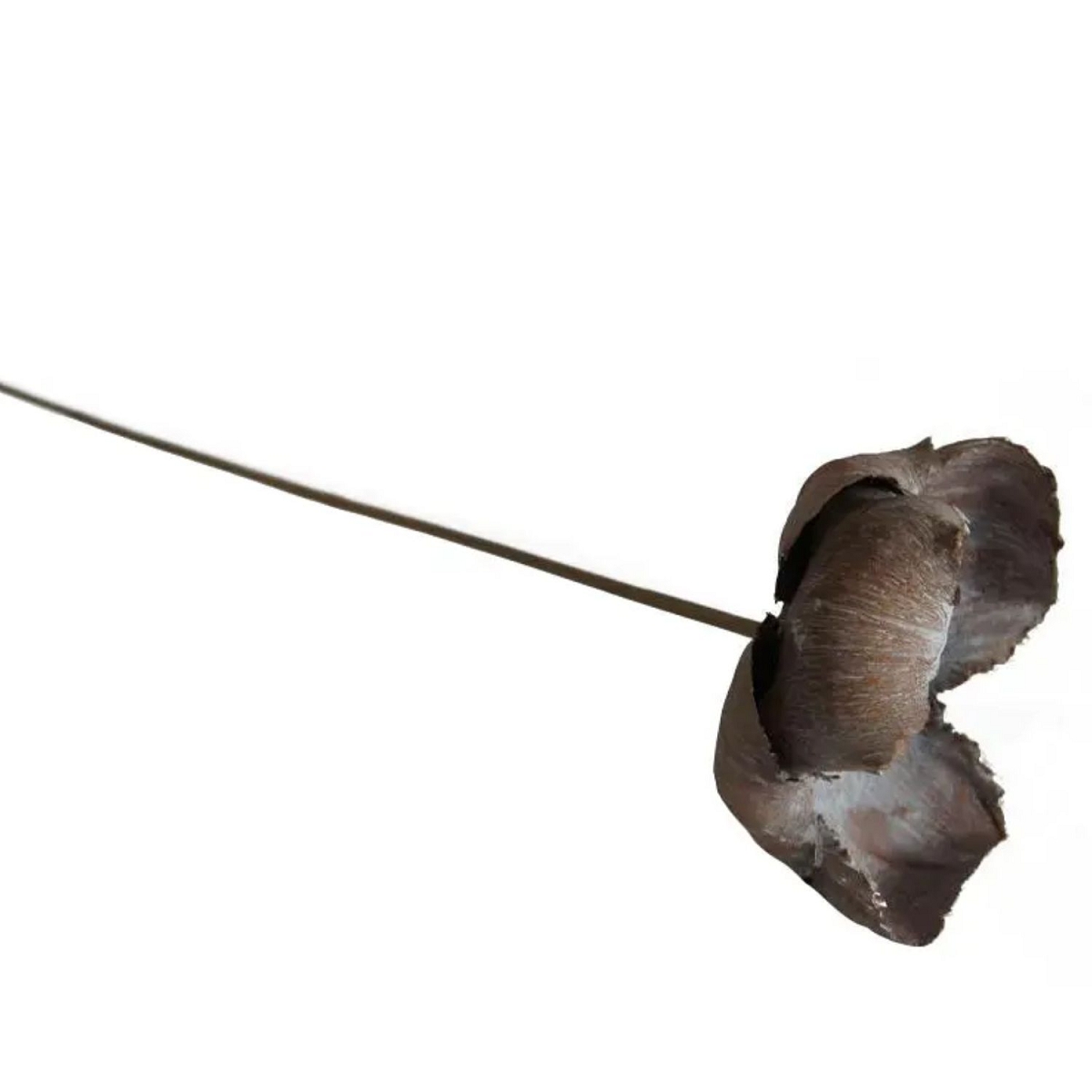 Palm cup sur tige blanchi x10