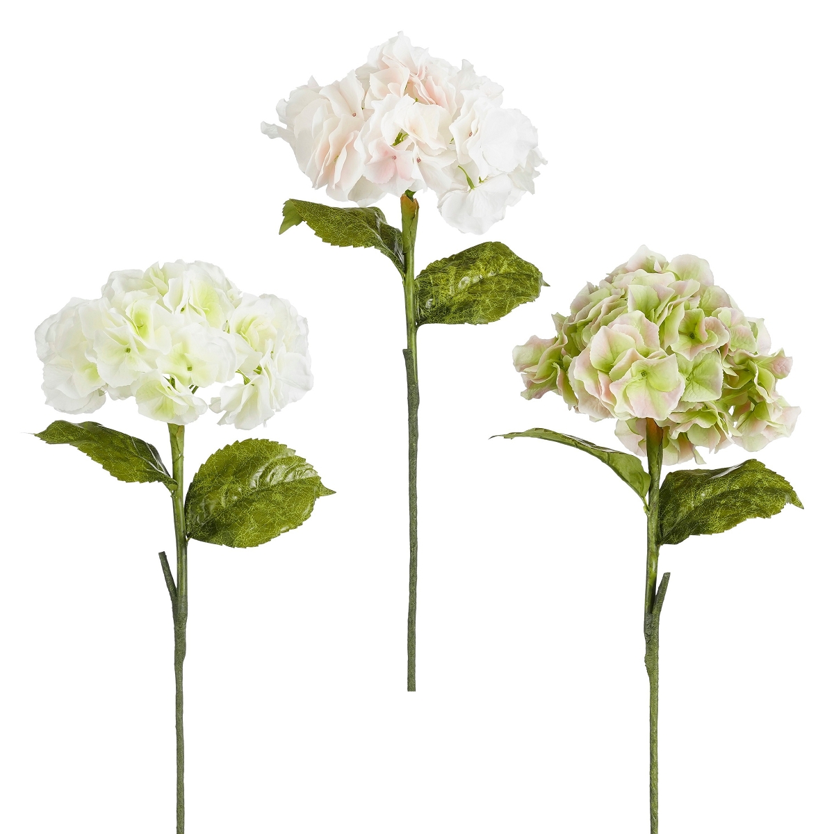 1 x Hortensia crème-vert ou rosé ht 93cm