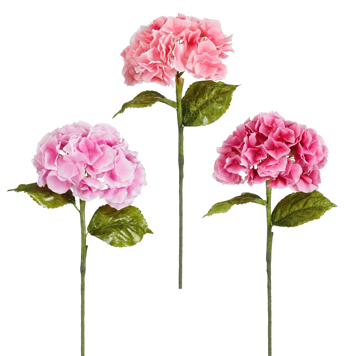 1 x Hortensia fuchsia-saumon-rose ht 93cm