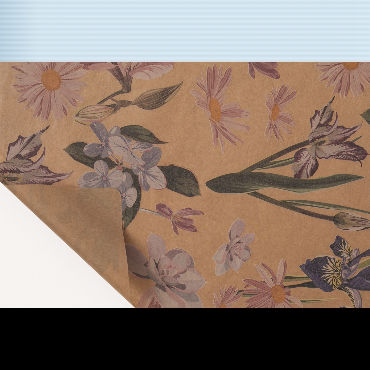 Bobine kraft écru imprimé iris 0.80 x 40m