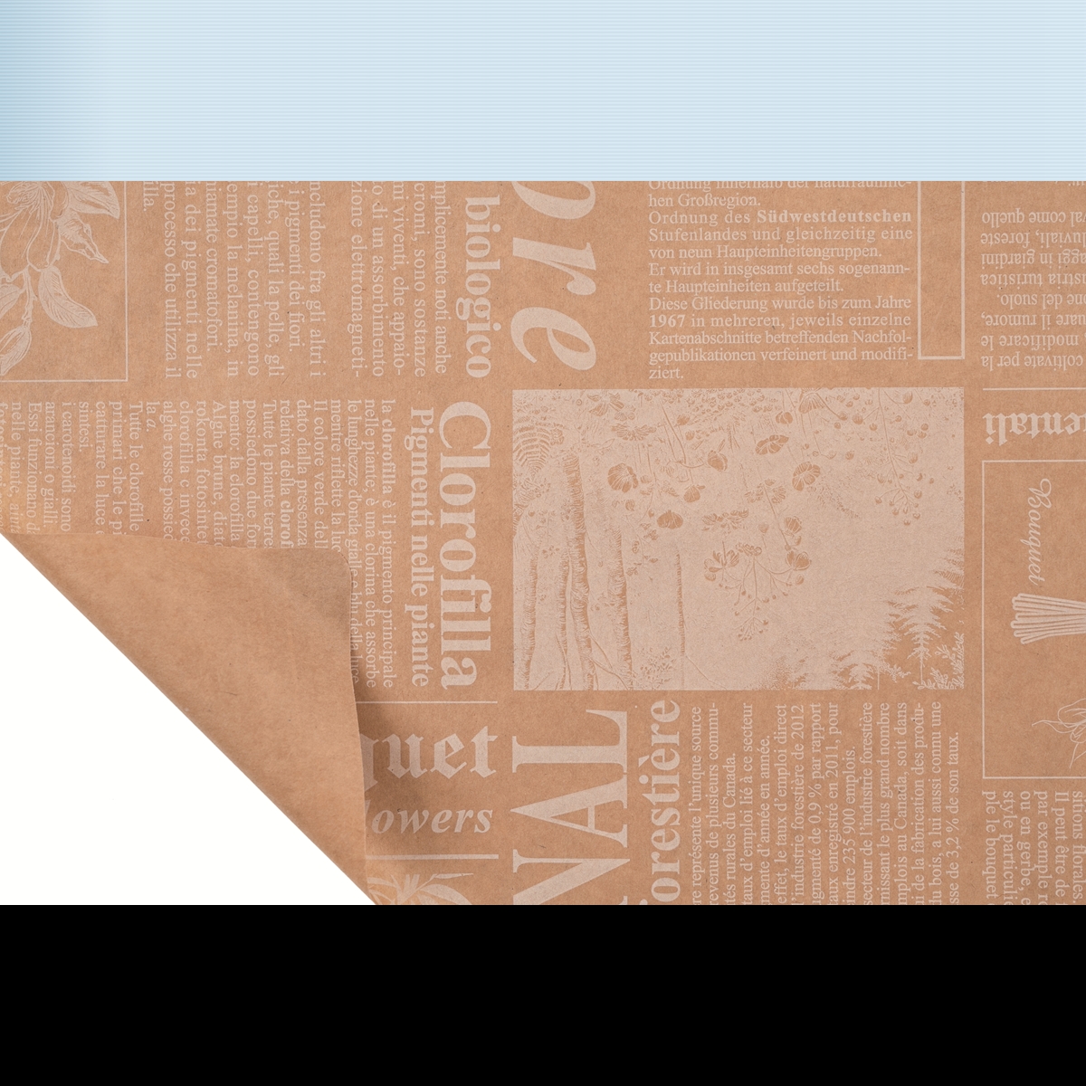 Bobine kraft écru imprimé newspaper blanc 0.80 x 40m