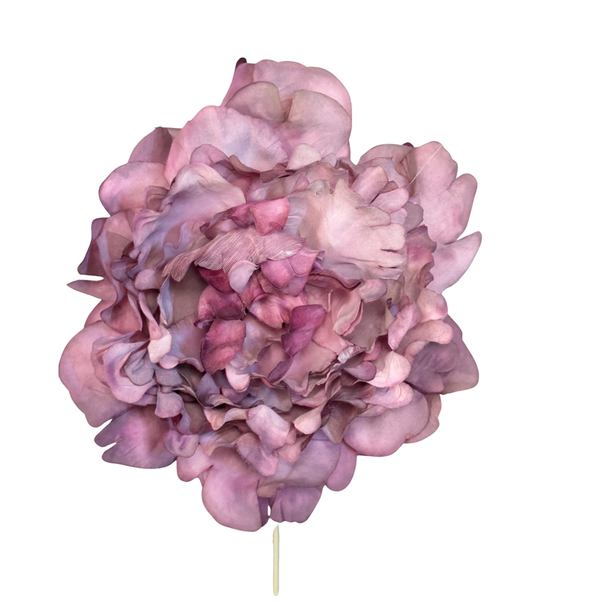 Pivoine violet ht 16cm x 12