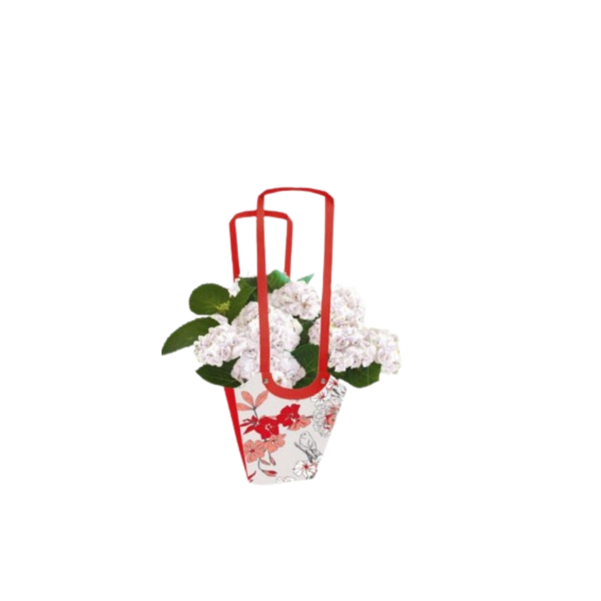 Sac aqua birdy rouge 11 x 11 ht 19cm (x10)