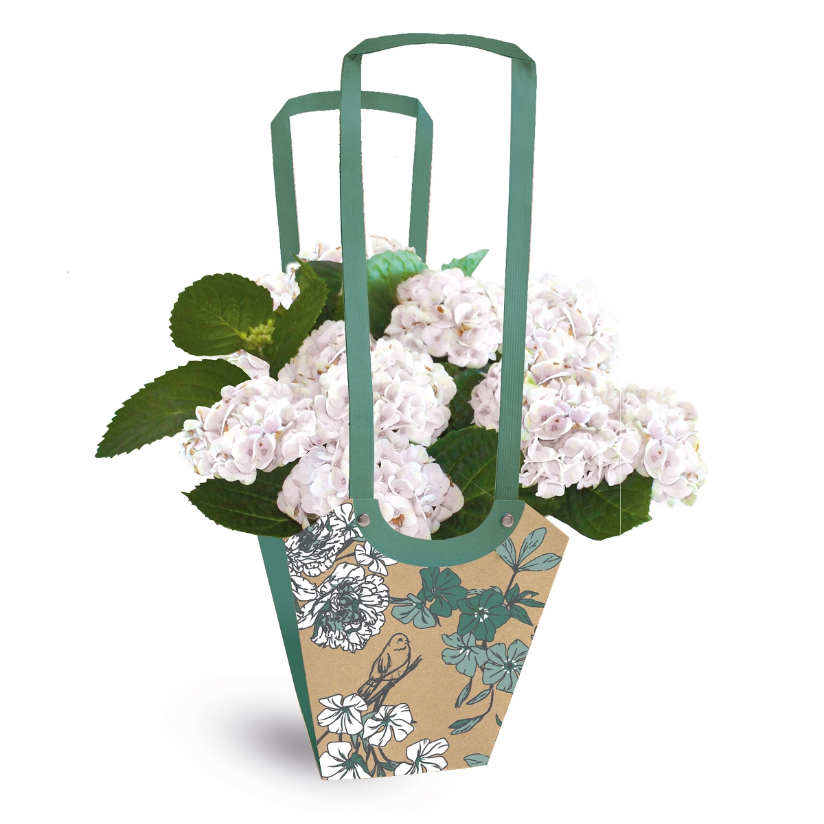 Sac aqua birdy vert foncé 11 x 11 ht 19cm (x10)