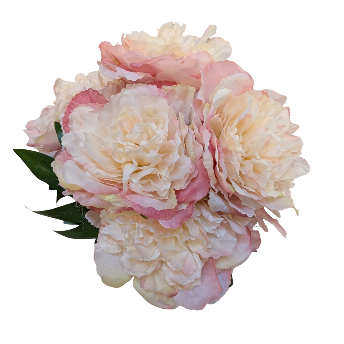 Bouquet pivoine bi couleur crème-rose ht 55 cm