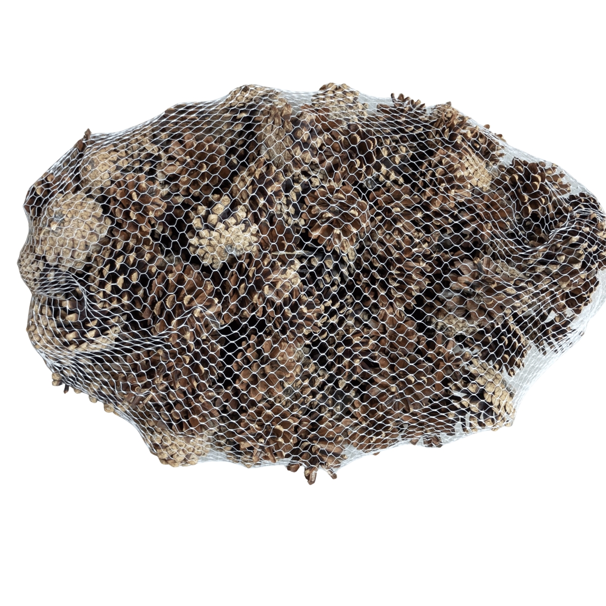 Pomme de pin naturel 1kg