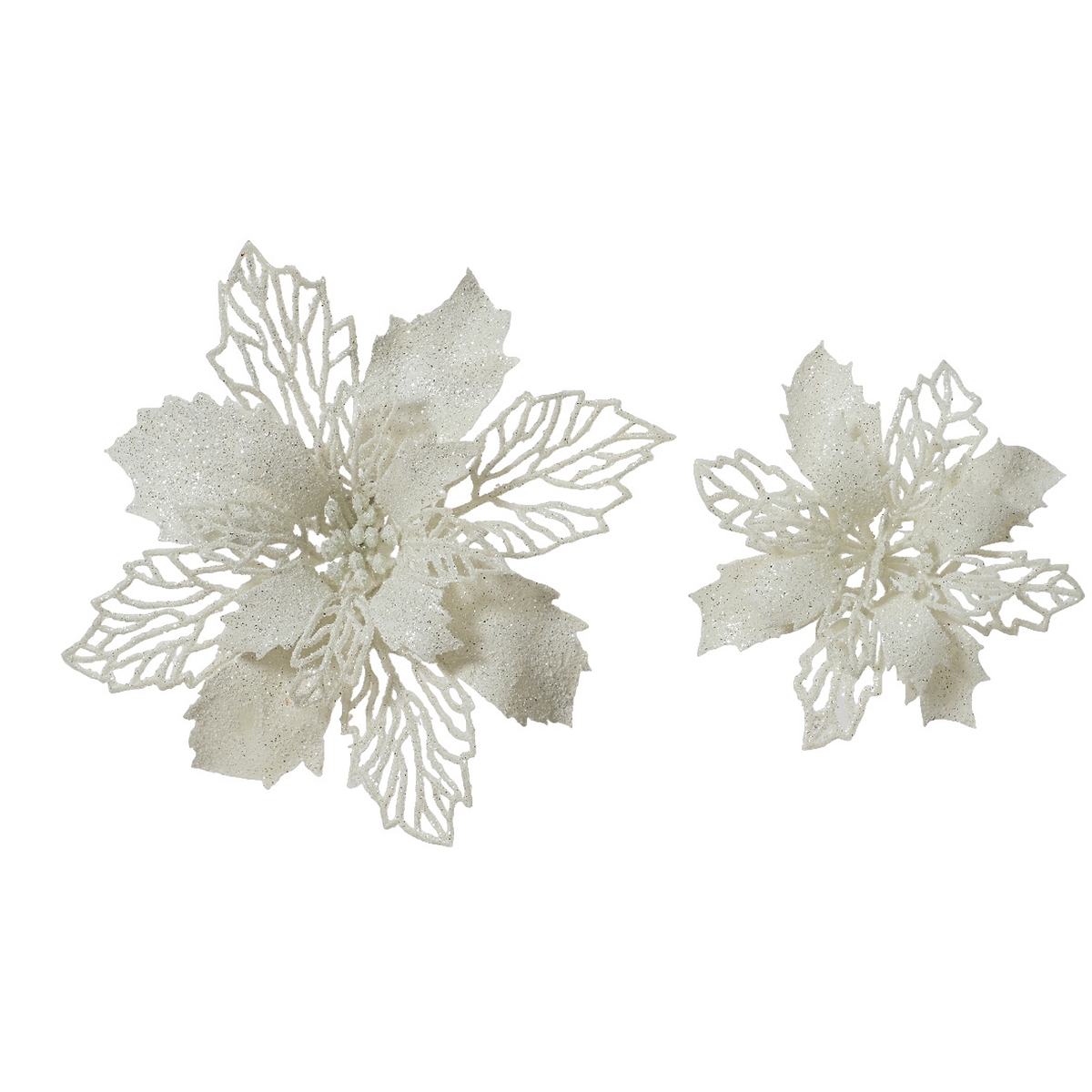 Poinsettia sur clip blanc